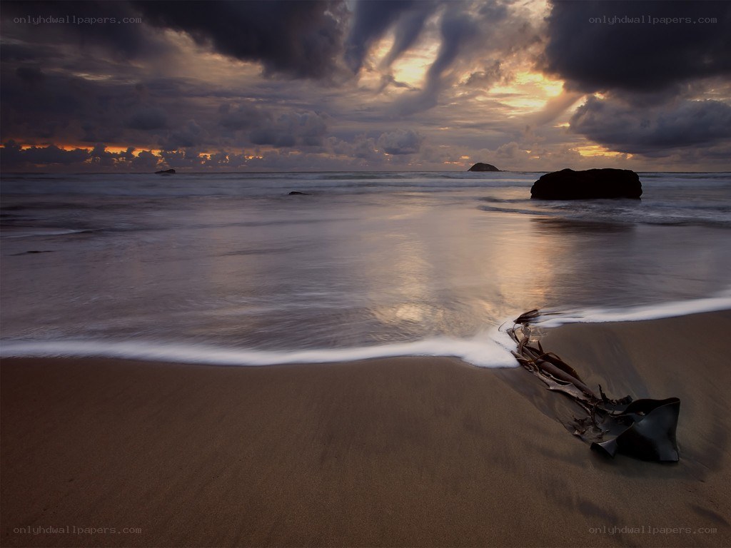 Dramatic beach sunset with driftwood