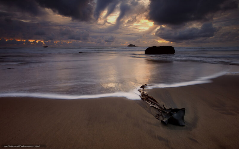 Dramatic beach sunset with driftwood