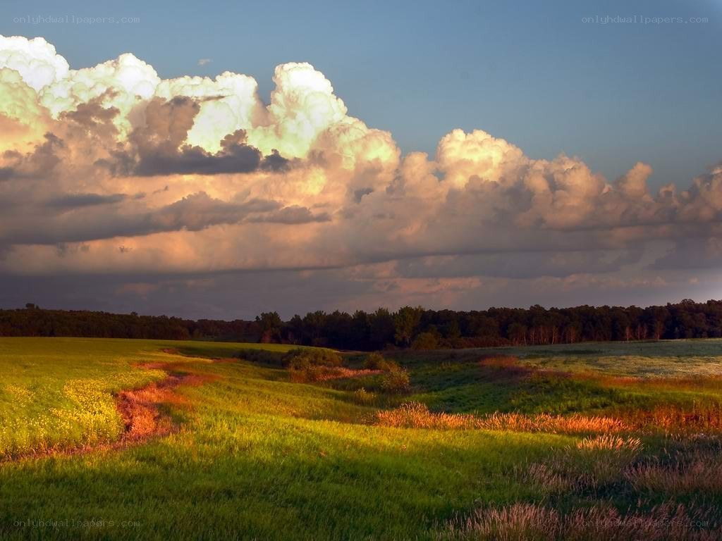 Dramatic clouds over a green field