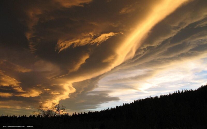 Dramatic Clouds over Forest — Orange