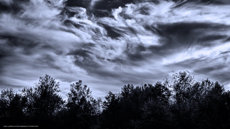 Dramatic Clouds Over Trees