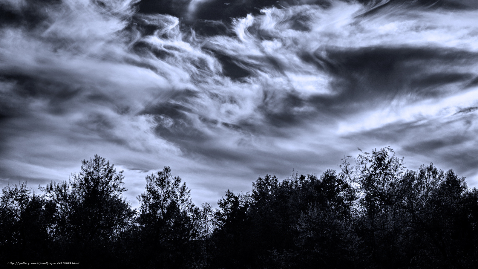 Dramatic Clouds Over Trees