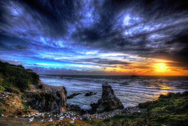 Dramatic coastal sunset with birds