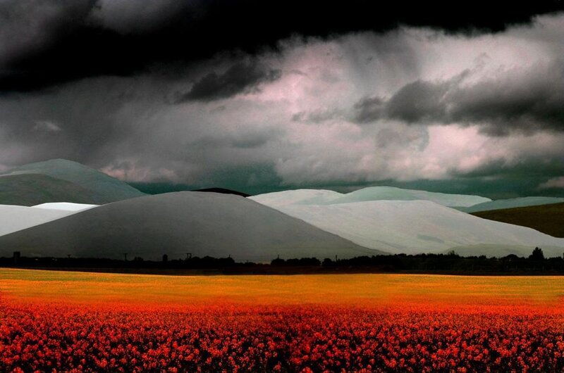 Dramatic landscape with red field