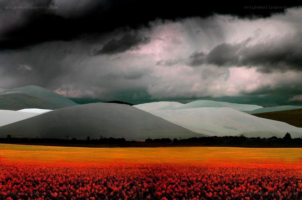 Dramatic landscape with red field