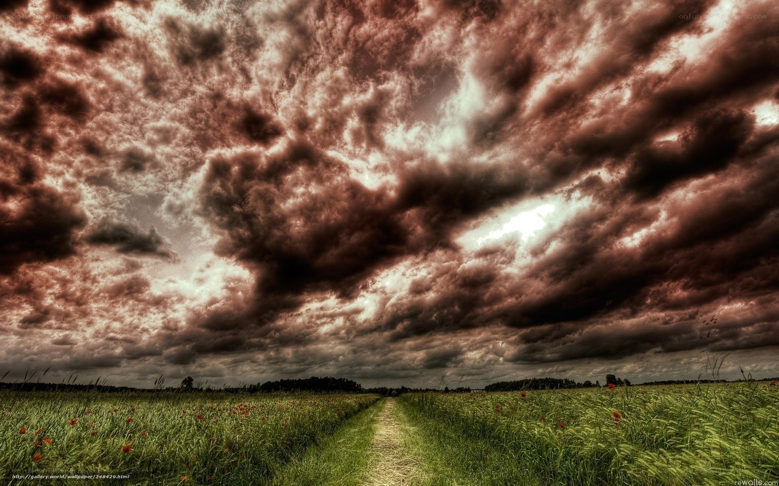 Dramatic sky over a country path
