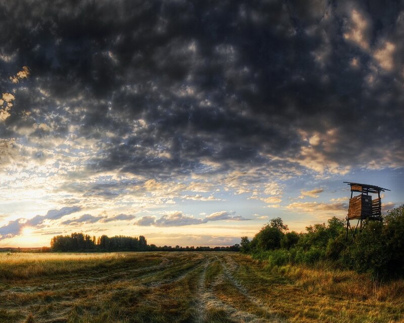 Dramatic sky over a field