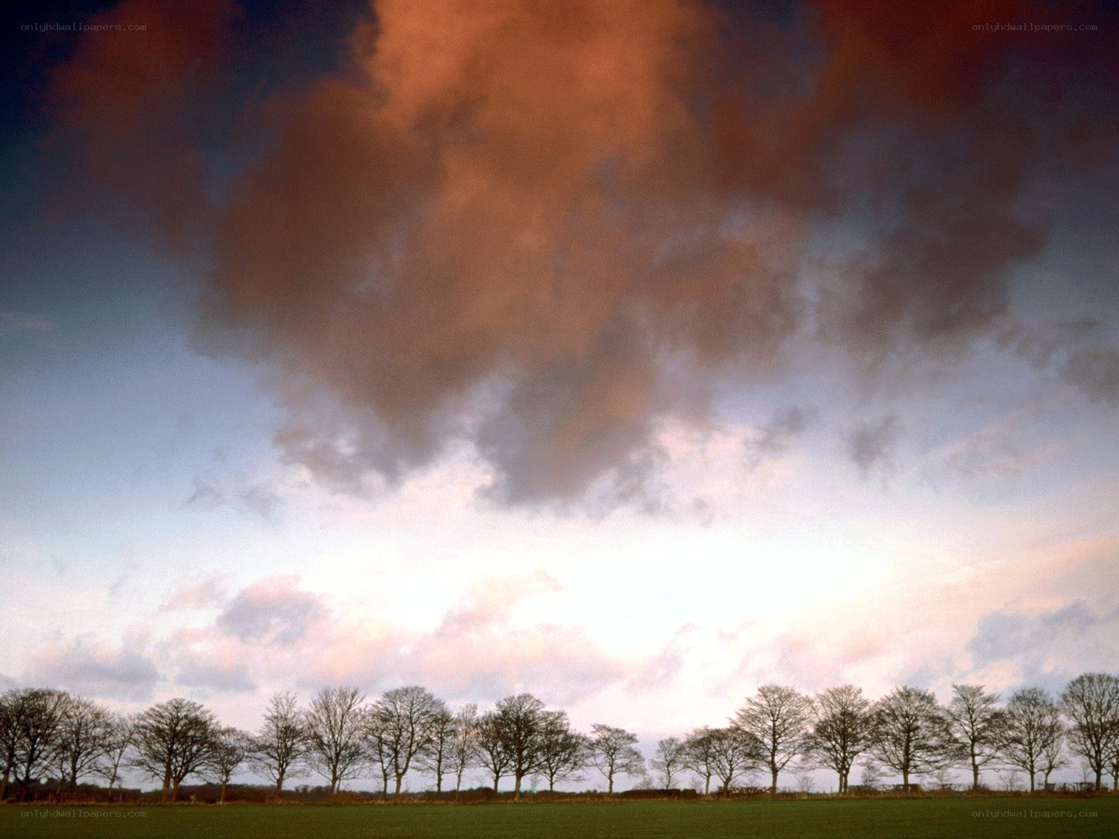 Dramatic sky over a field