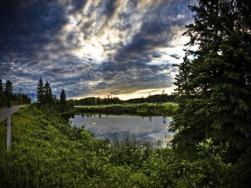 Dramatic sky over a forest pond
