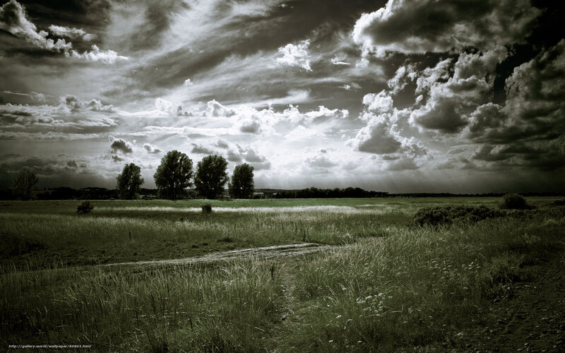 Dramatic sky over a grassy field