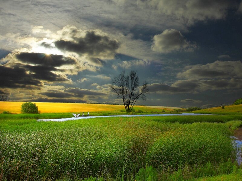 Dramatic sky over a green field