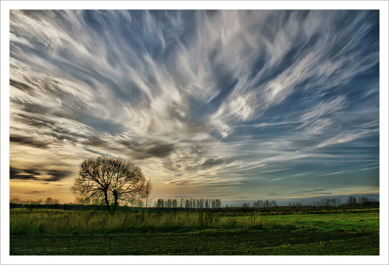 Dramatic sky over a lone tree