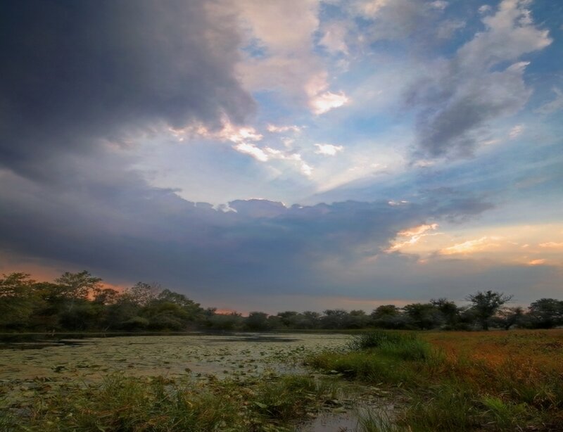 Dramatic sky over a marsh