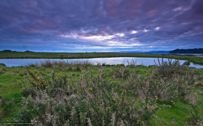 Dramatic sky over a marsh