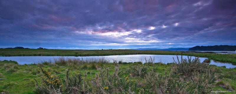 Dramatic sky over a marshland