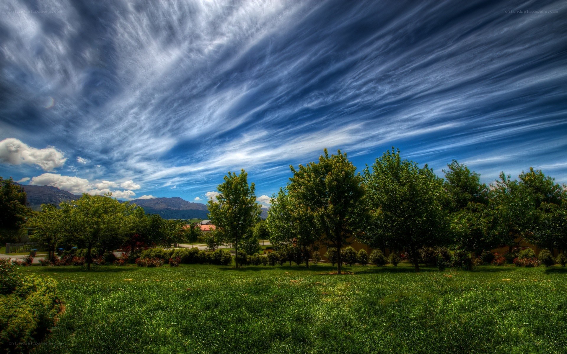 Dramatic sky over a park