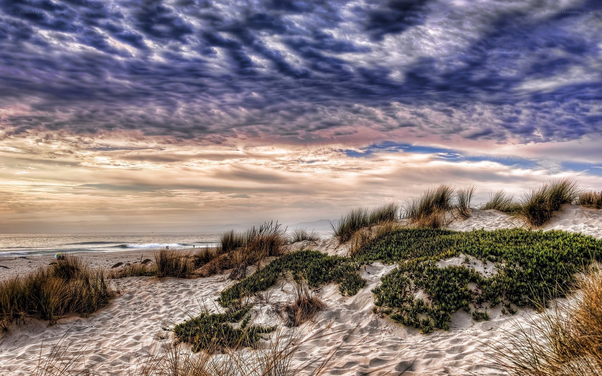 dramatic sky over beach dunes