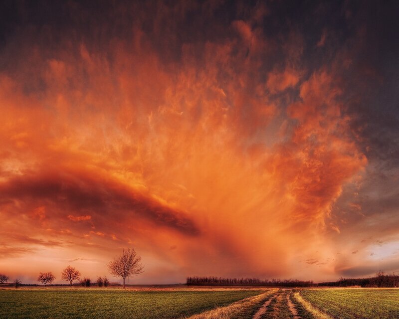 Dramatic Sky over Field — Orange, Sunset, Photograph, Trees
