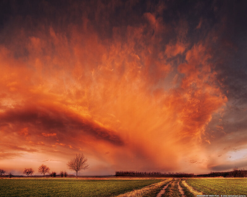 Dramatic Sky over Field — Orange