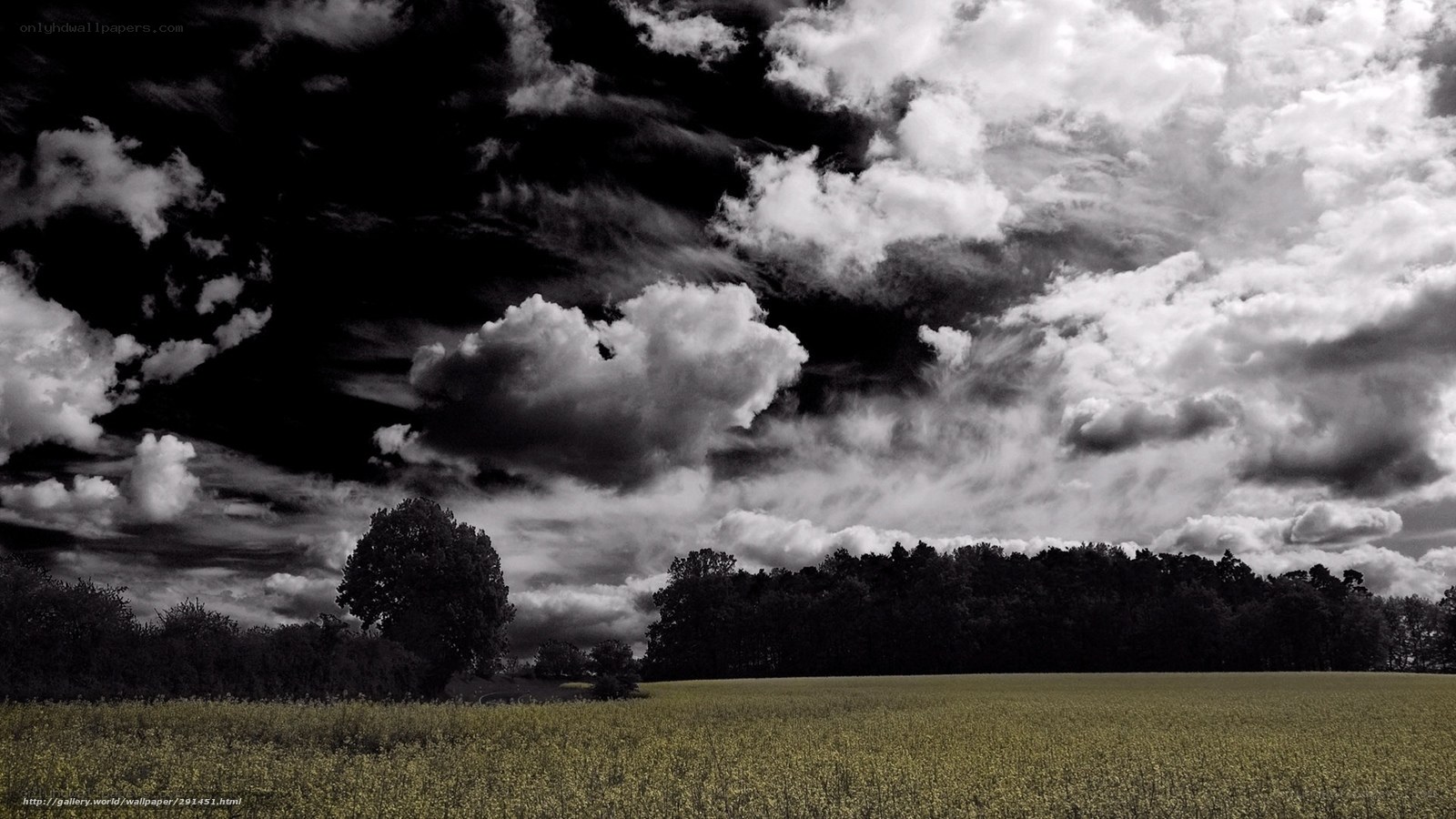 Dramatic Sky Over Field