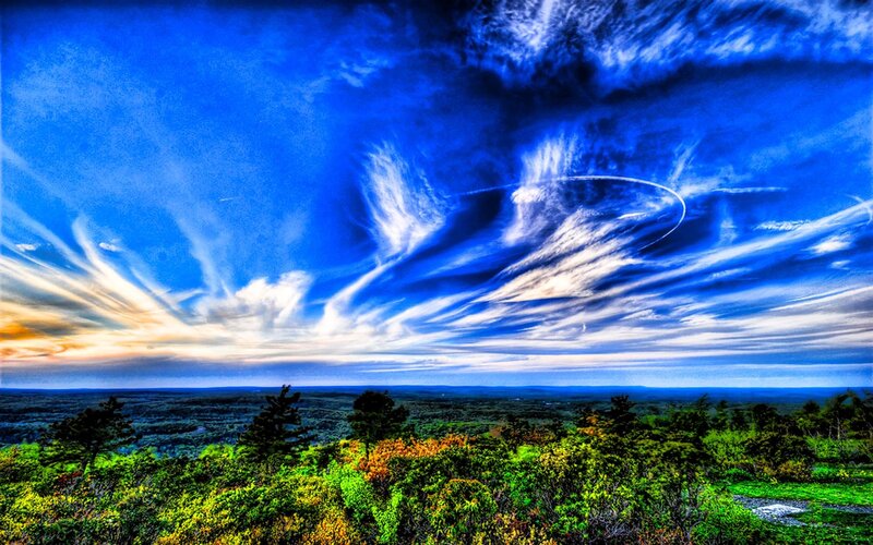 dramatic sky over forest landscape