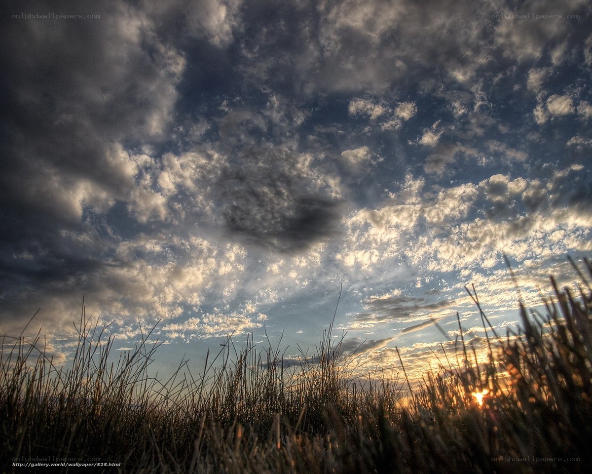 Dramatic sky over grass field