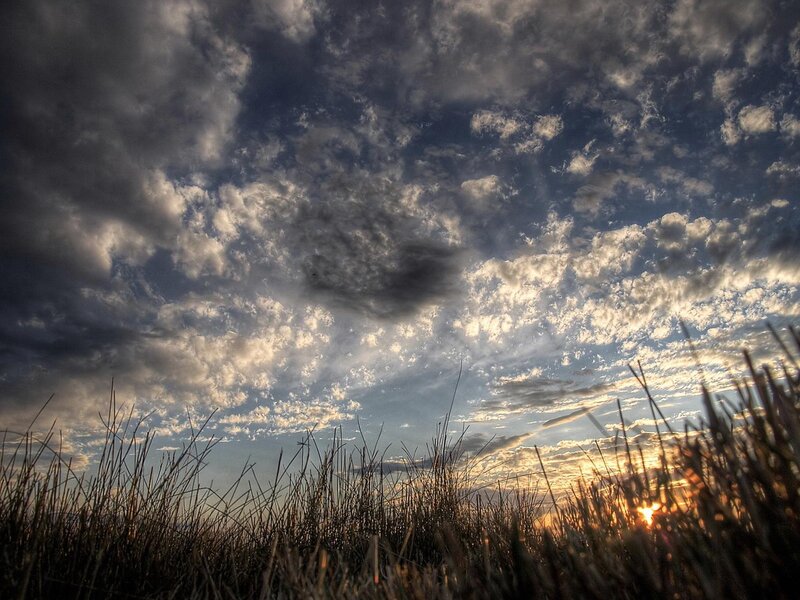 Dramatic sky over grassland