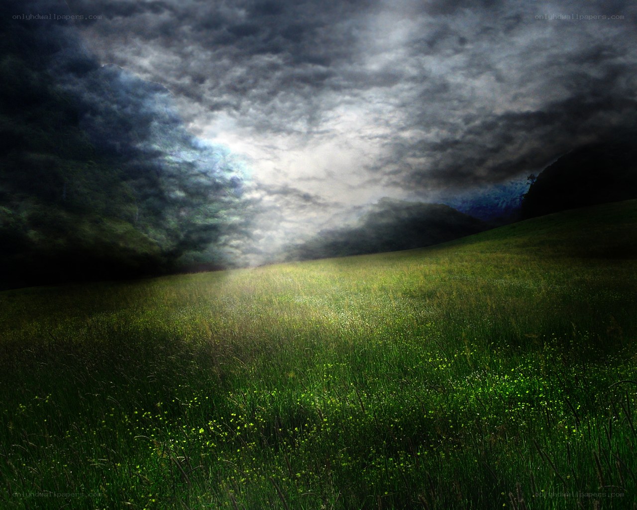 Dramatic sky over green field