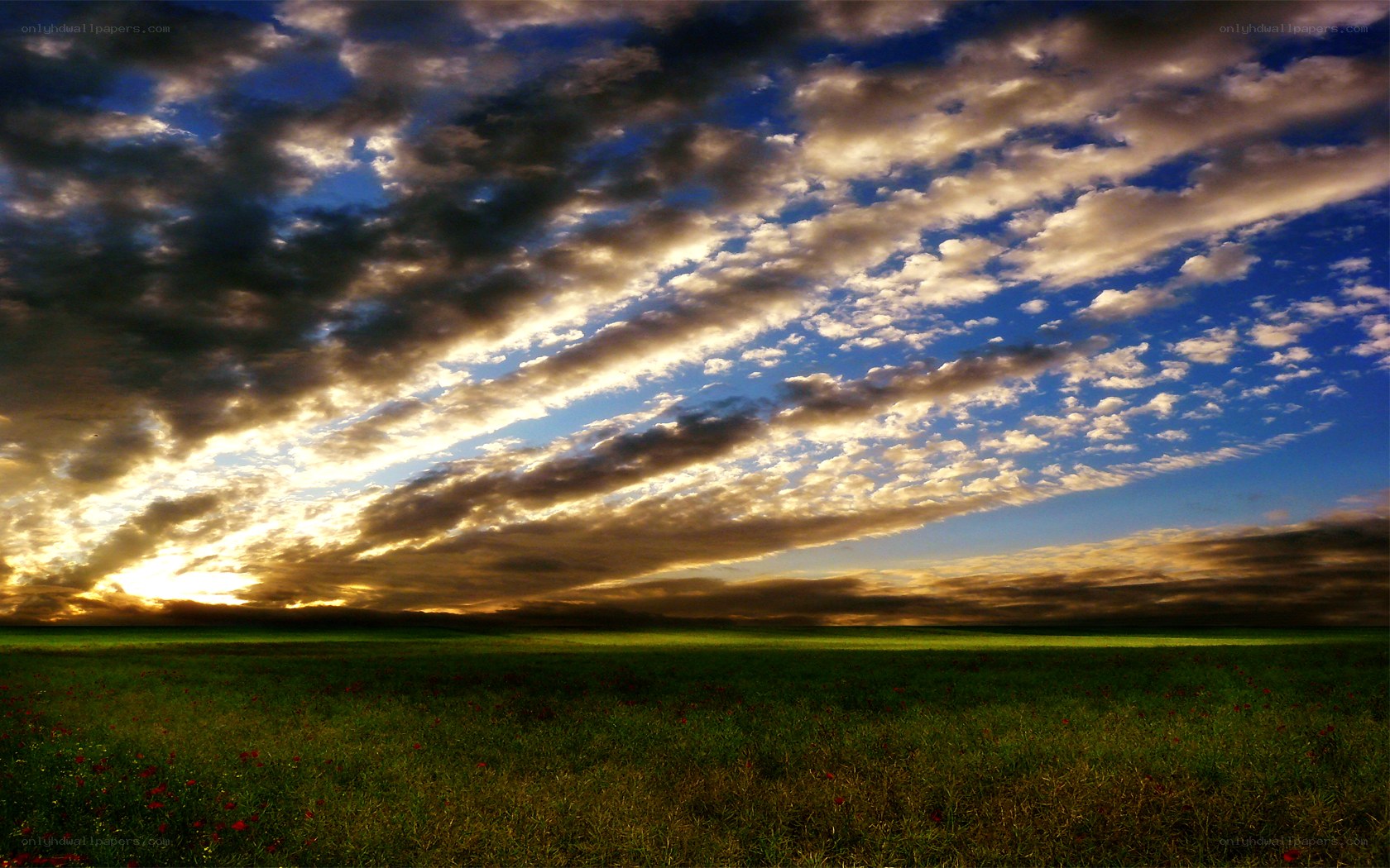 Dramatic sky over green field