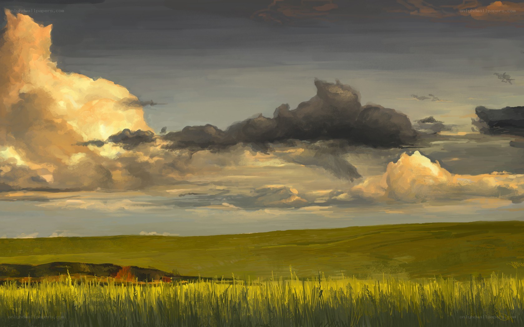 Dramatic sky over green fields