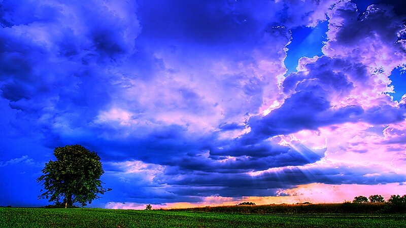 dramatic sky over lone tree
