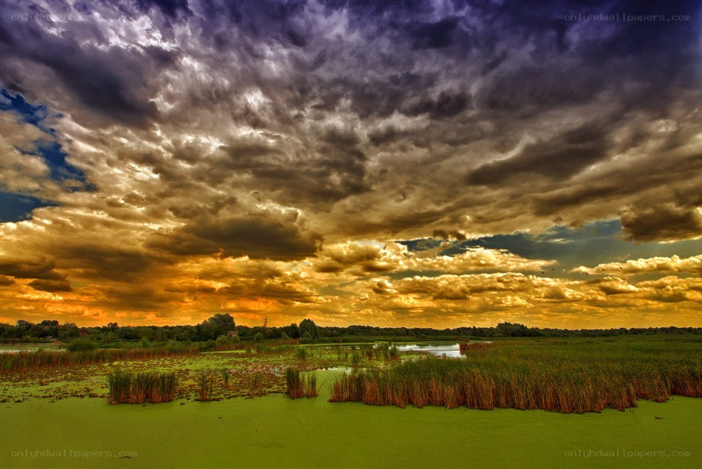 Dramatic sky over marshland