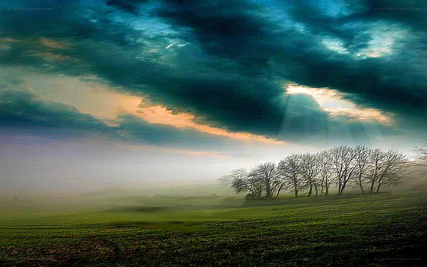 Dramatic sky over misty field
