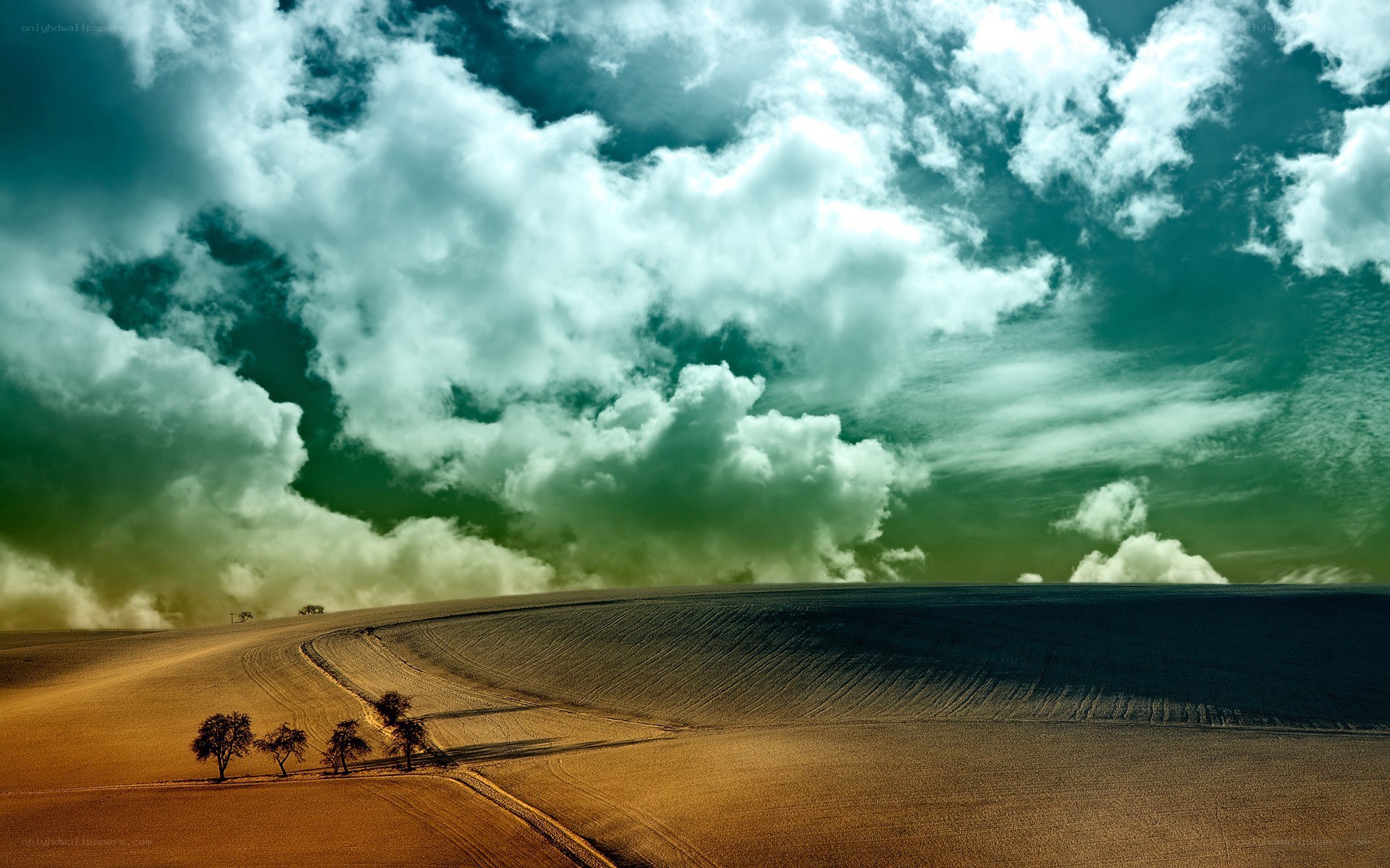 Dramatic sky over plowed field