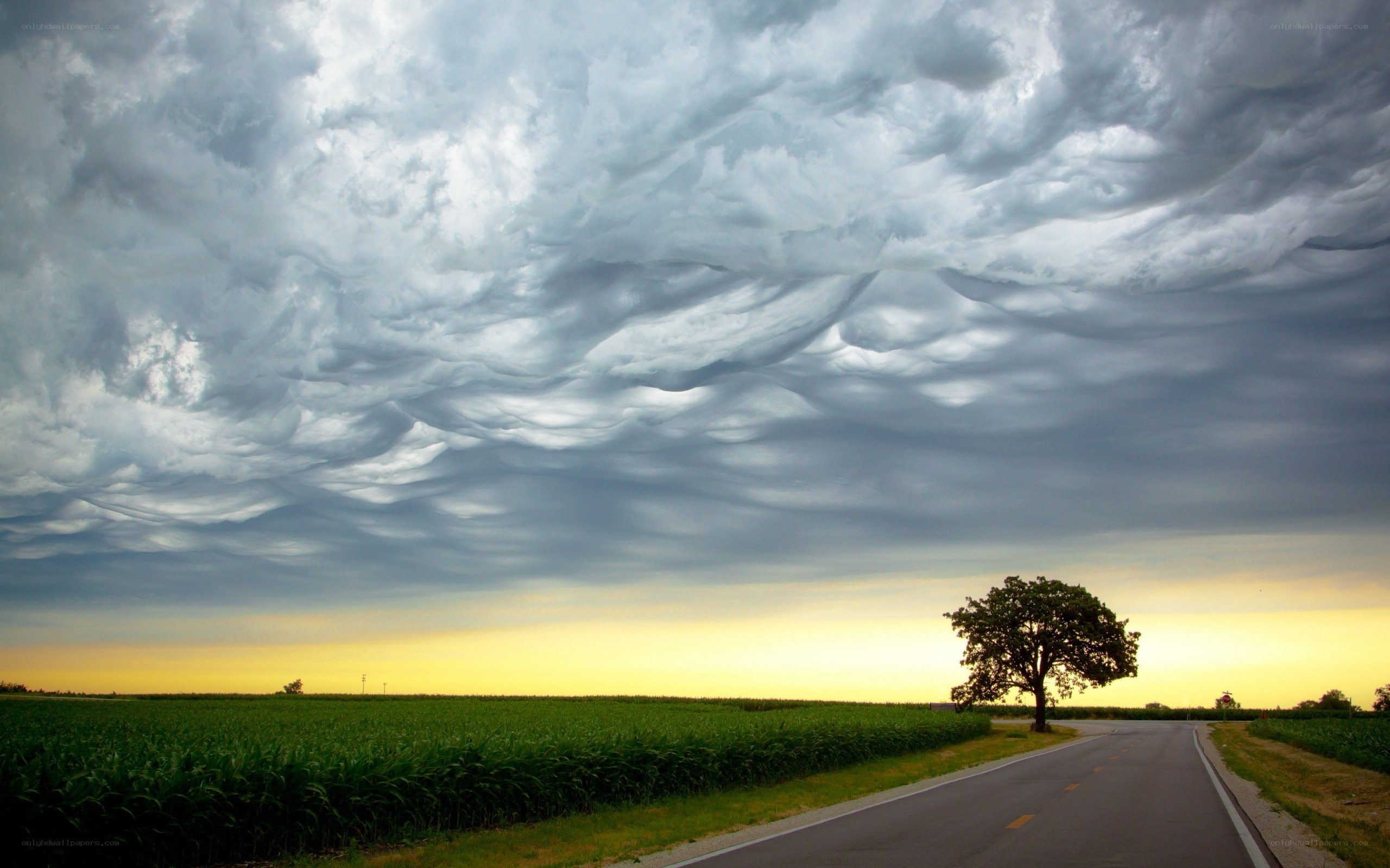 Dramatic sky over rural road