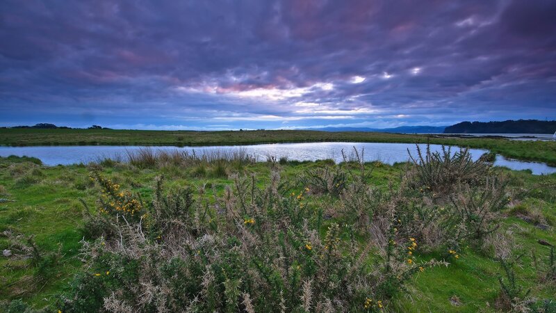 Dramatic sky over wetland