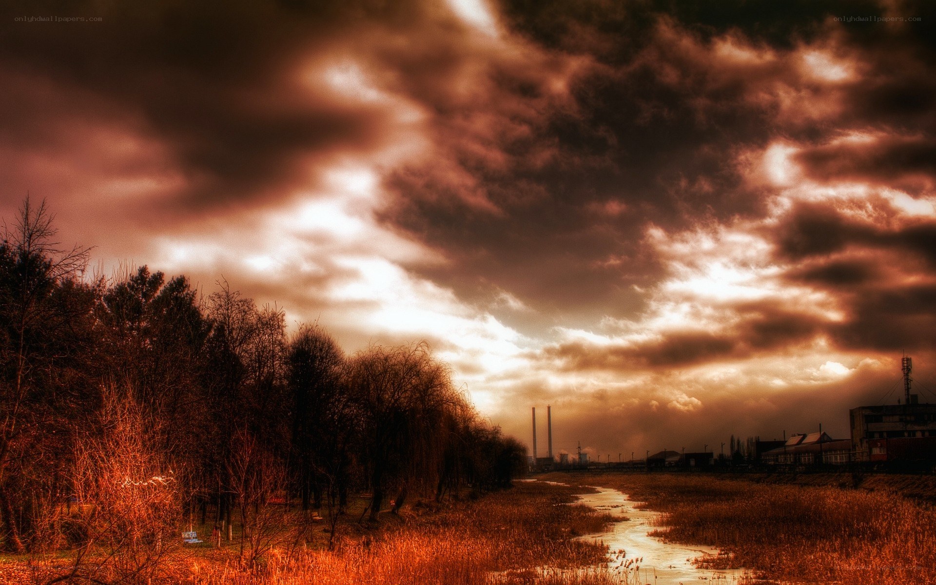 dramatic sky over wetland