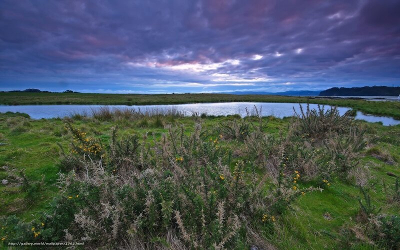 Dramatic sky over wetland