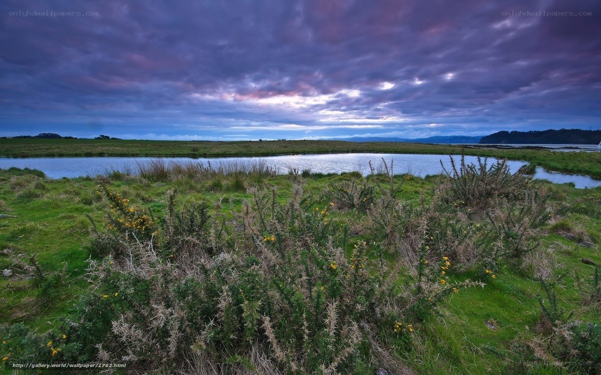 Dramatic sky over wetland