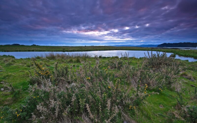 Dramatic sky over wetlands