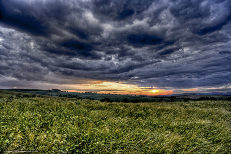 Dramatic sky over wheat field