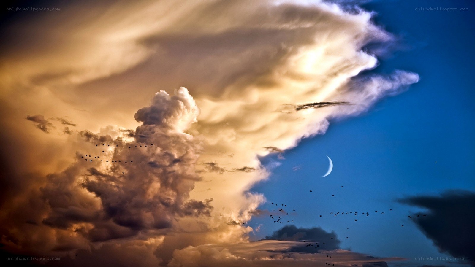 Dramatic sky with birds and moon