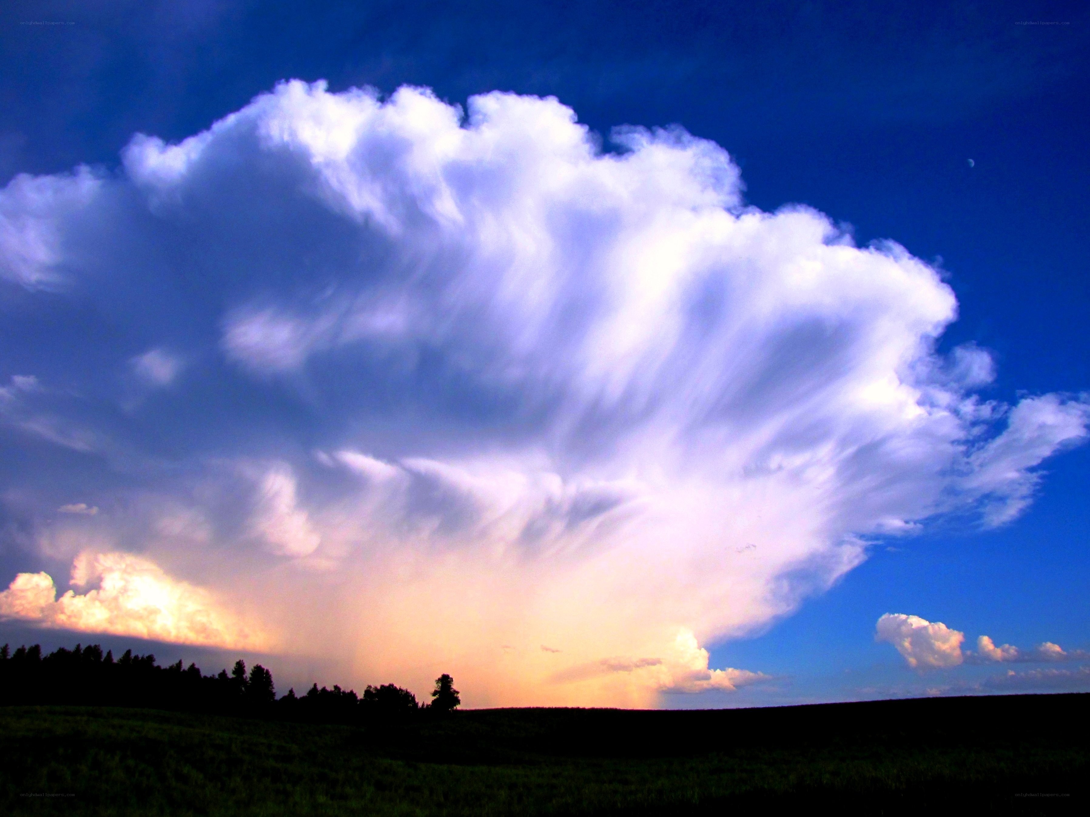 Dramatic storm cloud over field