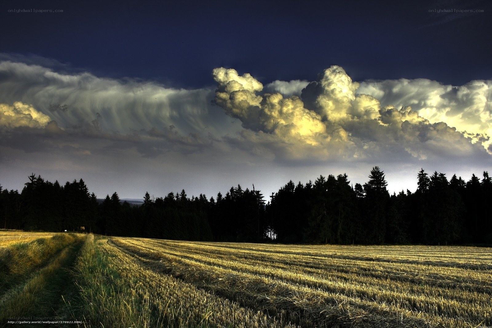 Dramatic storm clouds over a field