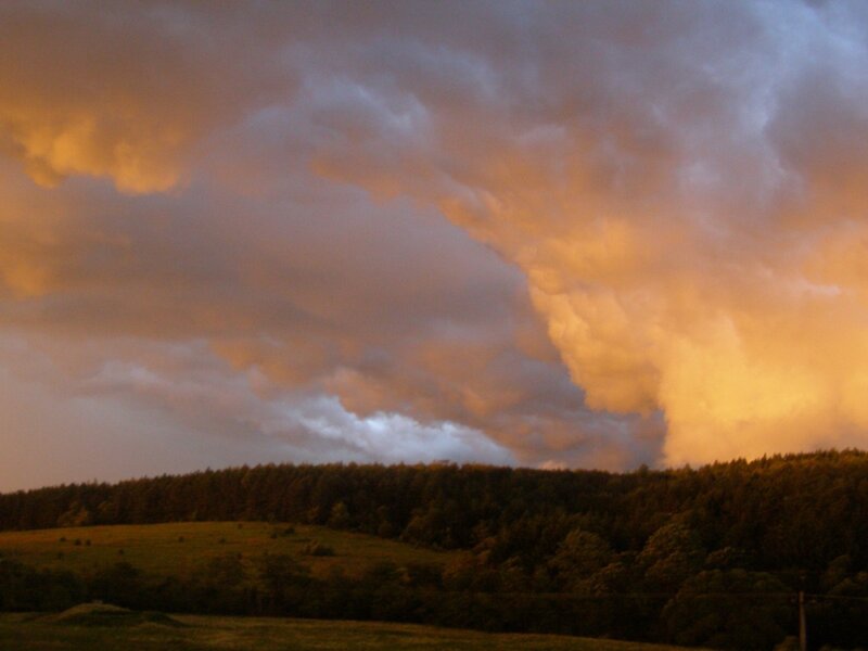 Dramatic storm clouds over a forest