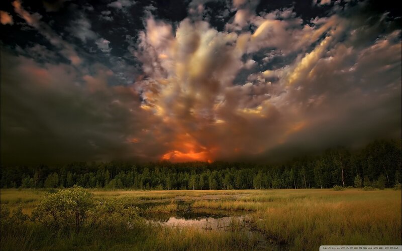 Dramatic storm clouds over a marsh