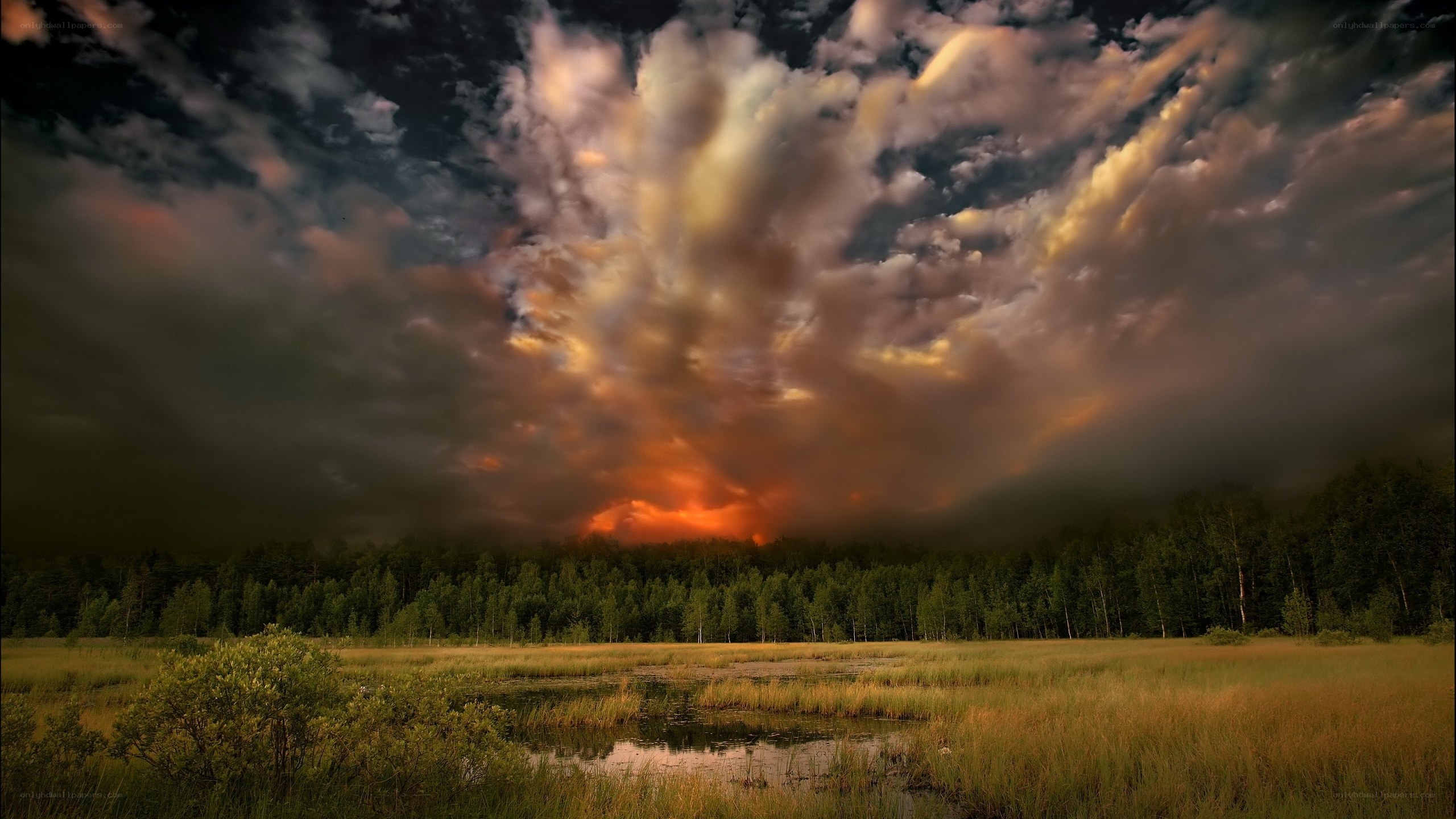 Dramatic storm clouds over marsh