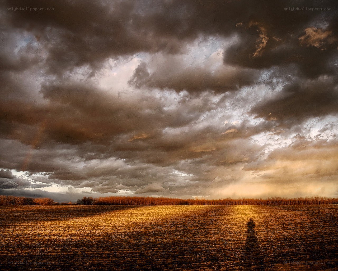 Dramatic storm over a field