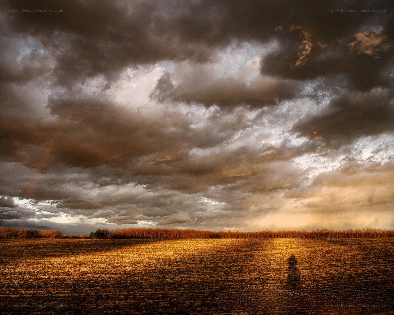 Dramatic storm over a field