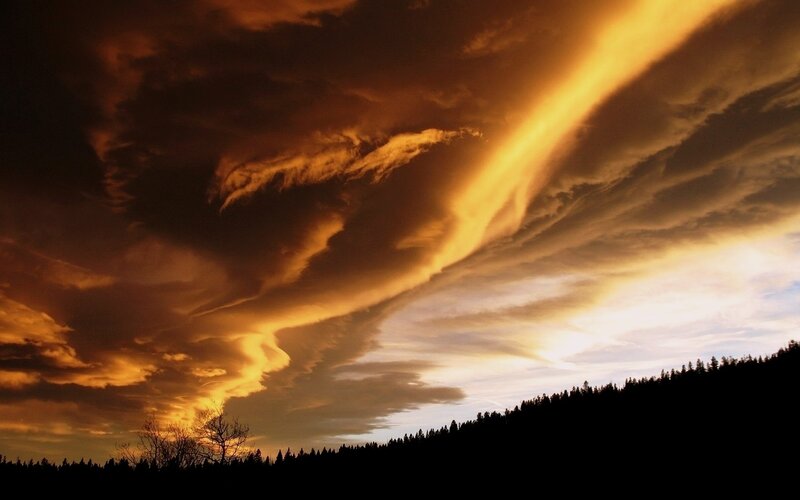 Dramatic Sunset Clouds — Orange, Photograph, Forest, Sky